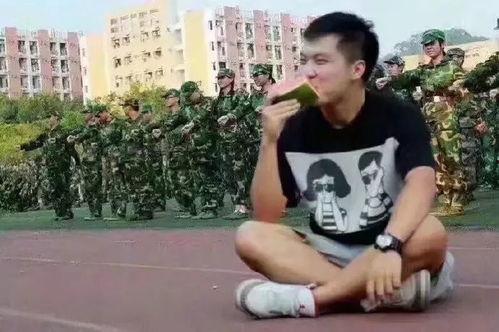 春节吃瓜群众训练,揭秘年味里的欢乐与争议