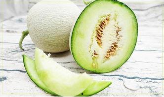 你吃不吃食瓜,品味人生百态