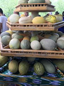 新疆最新吃瓜,最新吃瓜攻略来袭！