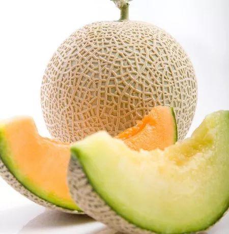 鬼畜吃哈密瓜,哈密瓜的奇幻之旅