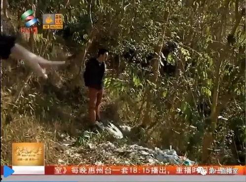 南山公园吃瓜视频,趣味横生的夏日午后