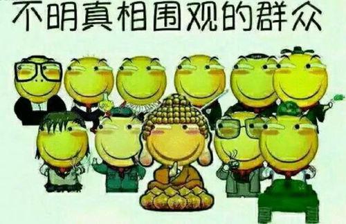 吃瓜群众零零甲,揭秘娱乐圈幕后故事