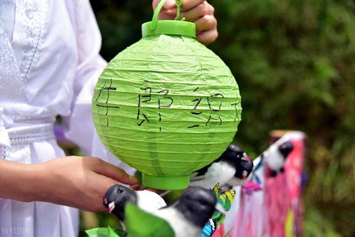 七夕桥上吃瓜,浪漫氛围中品味甜蜜瞬间