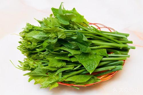 什么瓜专吃瓜尖,揭秘“专吃瓜尖”的独特风味