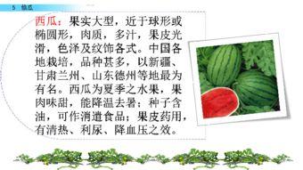 吃瓜95页ppt,深度解析娱乐圈幕后故事