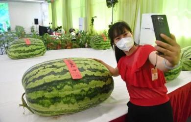 吃瓜群众上海妈妈,吃瓜群众的视角解读育儿生活