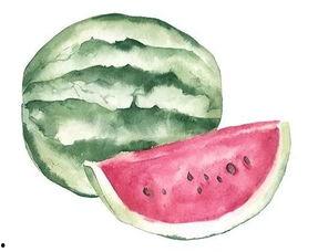 3分吃瓜,揭秘3分吃瓜的趣味生活