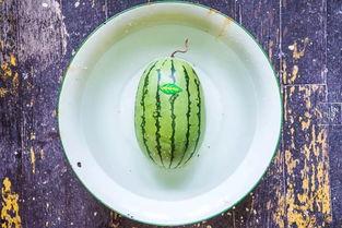 什么瓜可以做屎瓜吃,揭秘“屎瓜”的独特风味