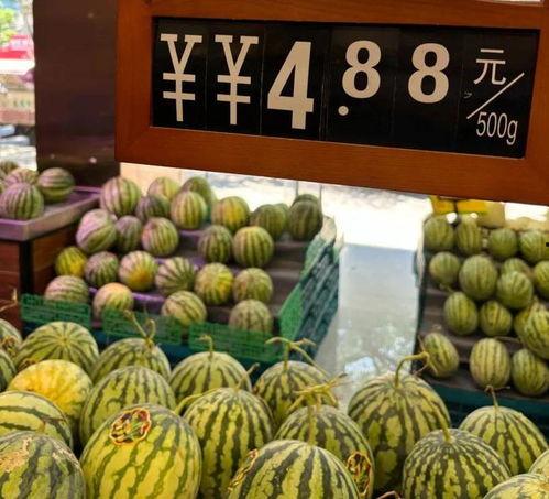 金环市场吃瓜视频,揭秘网红美食背后的故事