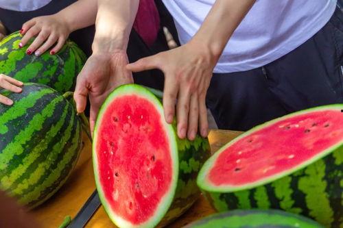 天津学院吃瓜,吃瓜群众揭秘校园美食风云