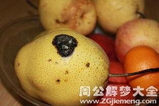 梦见吃梨吃瓜什么意思