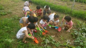 长垣幼儿园吃瓜,揭秘幼儿饮食安全与监管问题