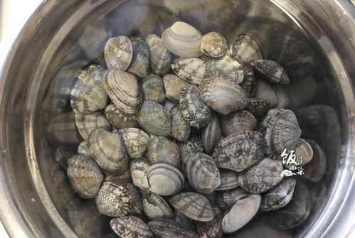 蕈瓜老了怎么吃,蕈瓜变老后的美味新食法探索